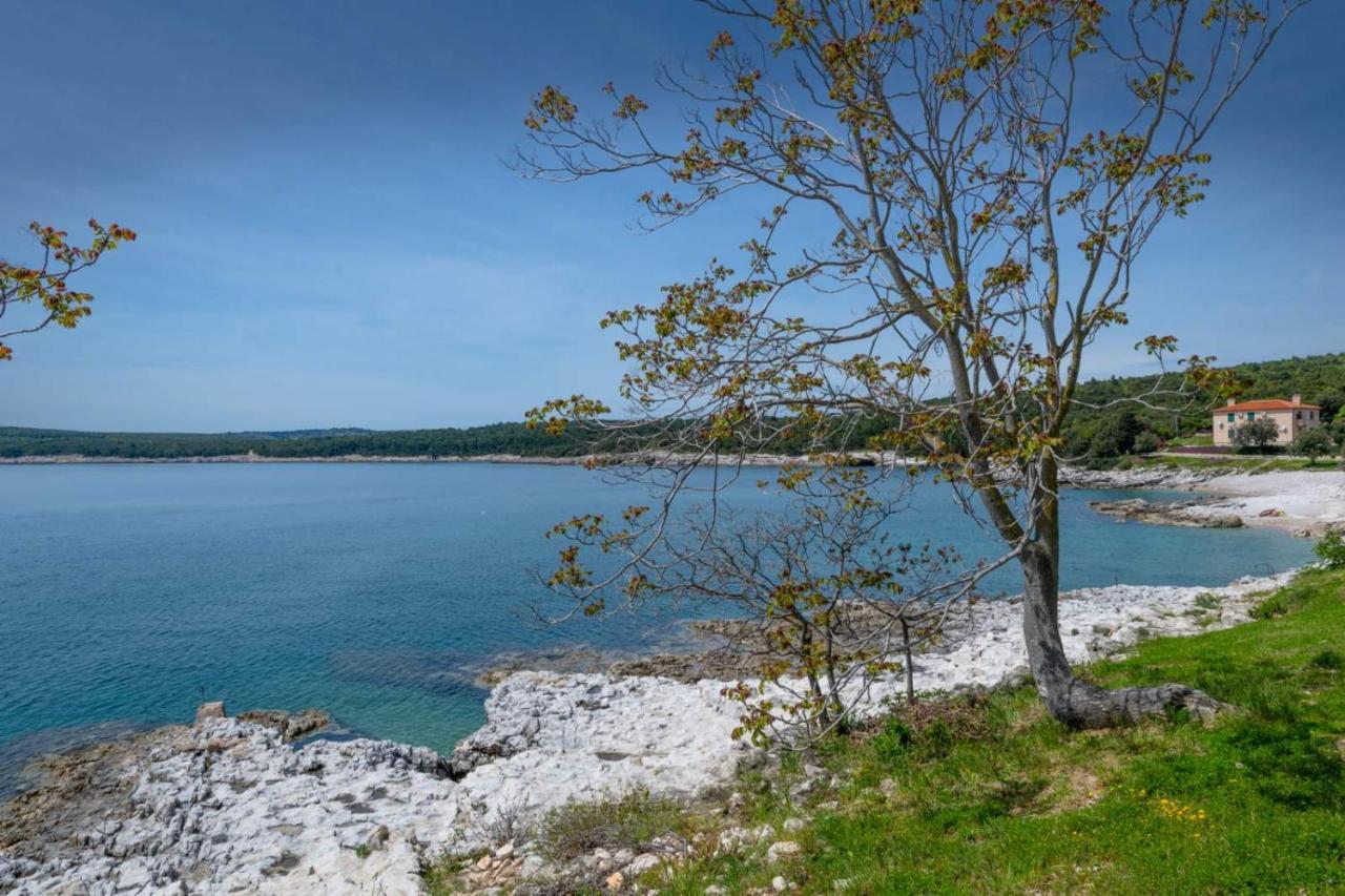 Apartman Lidija Koromačno Zewnętrze zdjęcie